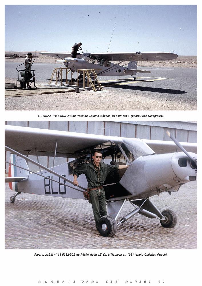 Piper L-21B_000045.jpg